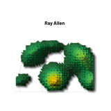 Geometric  green and yellow heat map on a white background, featuring 'Ray Allen'.